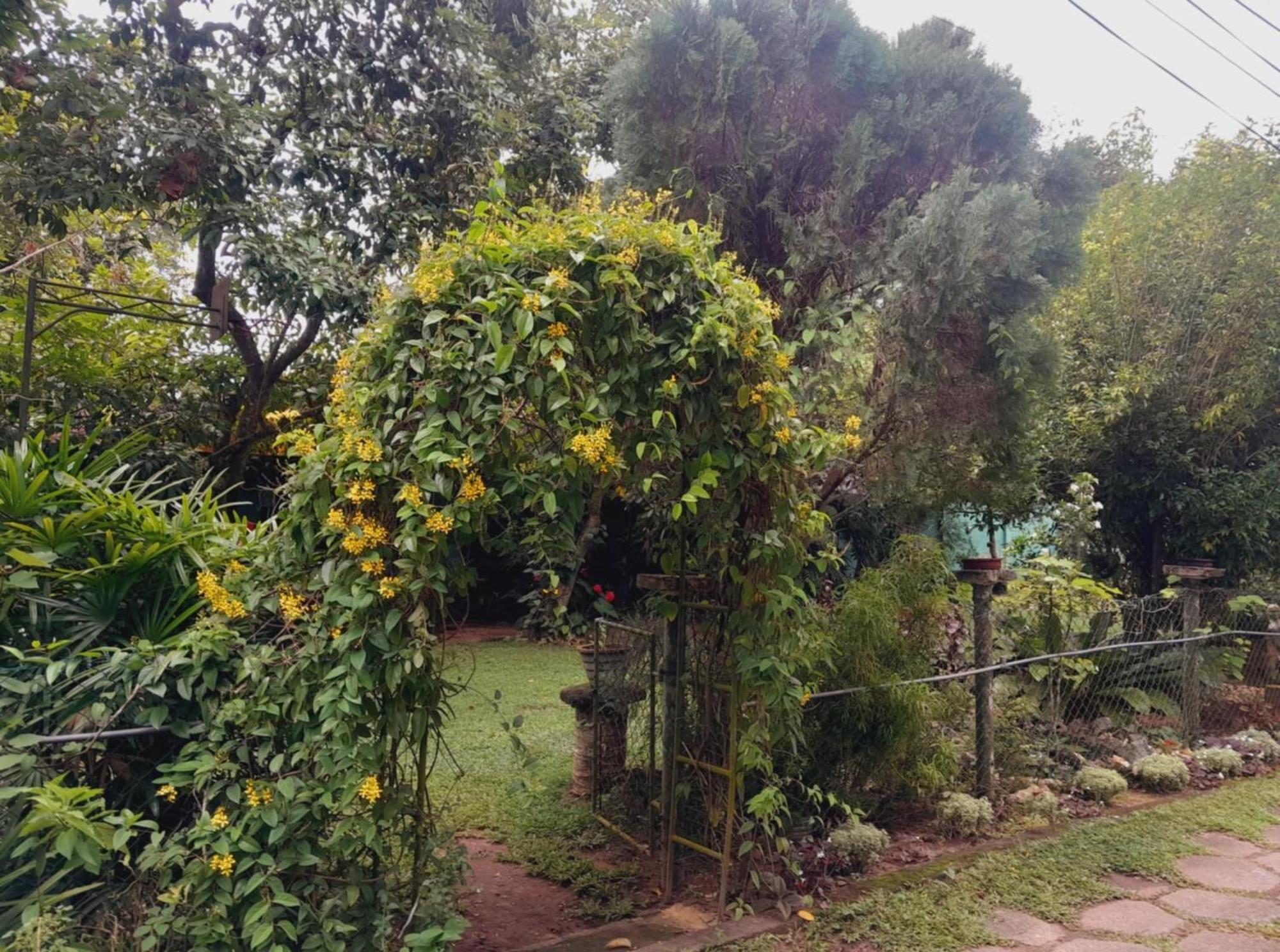 Laliz Bed & Breakfast Galle Exterior photo