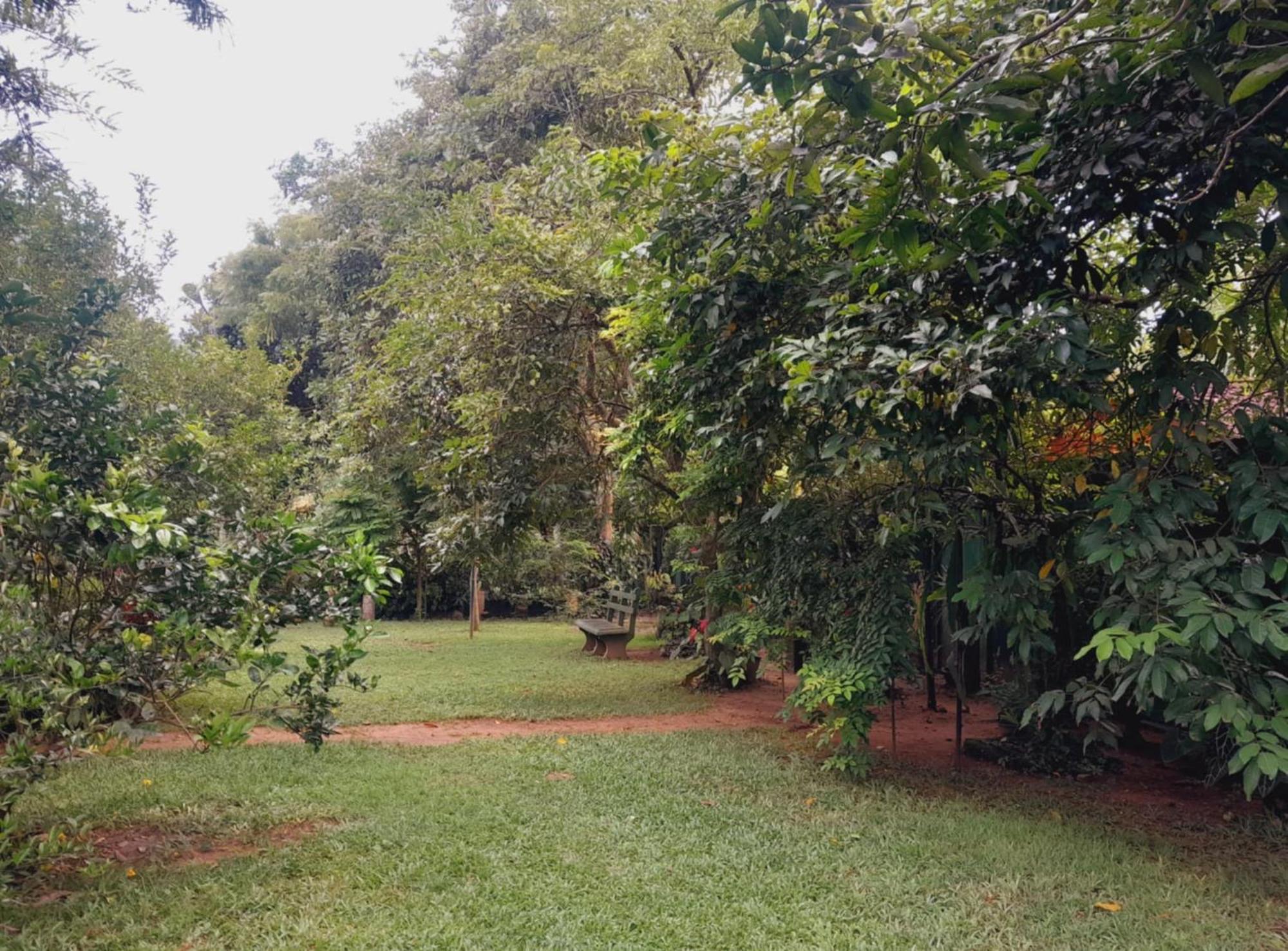 Laliz Bed & Breakfast Galle Exterior photo